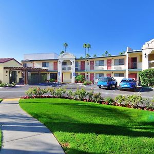 Lamplighter Inn & Suites At Sdsu